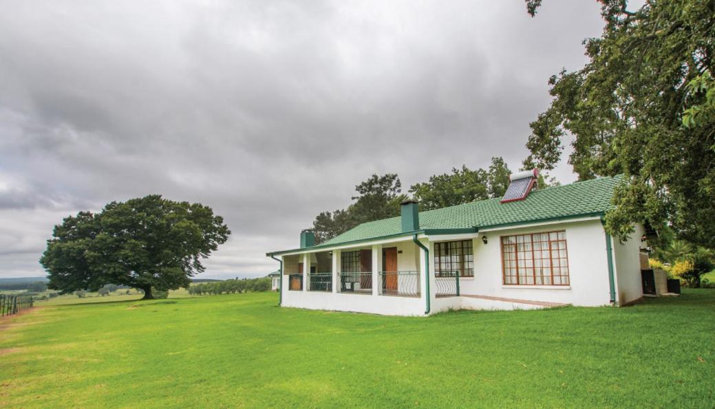 Hoyohoyo Machadostud Lodge Helvetia Noord Kültér fotó